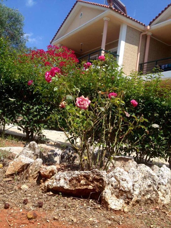Niso Villas Gyri Bagian luar foto